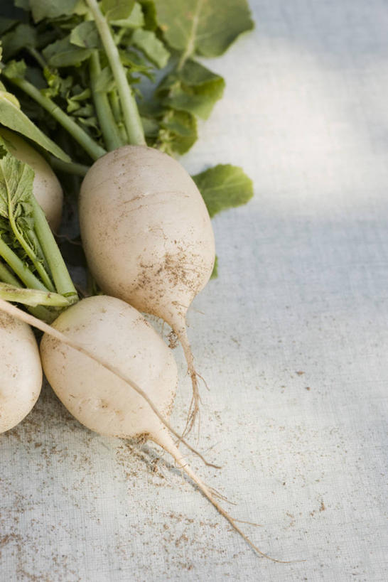 无人,竖图,俯视,室内,特写,白天,萝卜,白萝卜,蔬菜,阴影,新鲜,反射,影子,食品,食物,白色,四个,有机食品,绿色食品,莱菔,彩图,高角度拍摄