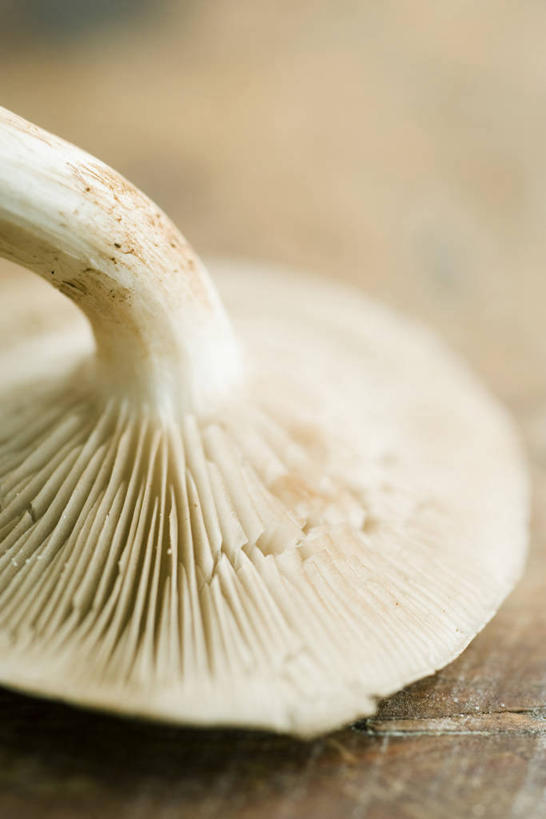 无人,竖图,俯视,室内,特写,白天,蔬菜,阴影,朦胧,模糊,新鲜,反射,影子,菌菇,食品,菌类,食物,一个,食用菌,有机食品,绿色食品,单个,鸡油菌,杏黄菌,杏菌,彩图,高角度拍摄