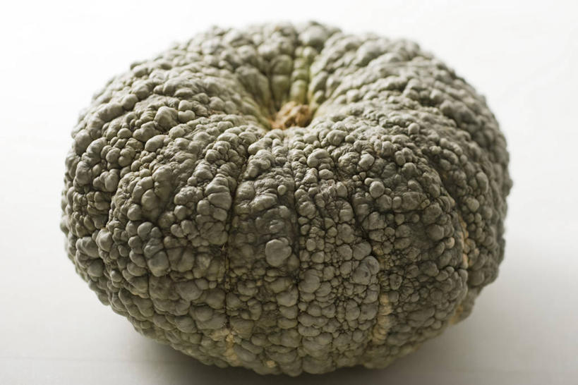 无人,横图,俯视,室内,特写,白天,白色背景,蔬菜,阴影,新鲜,反射,影子,食品,西葫芦,食物,一个,白瓜,摄影,有机食品,绿色食品,影棚,单个,笋瓜,北瓜,茭瓜,彩图,高角度拍摄,影棚拍摄,拍摄