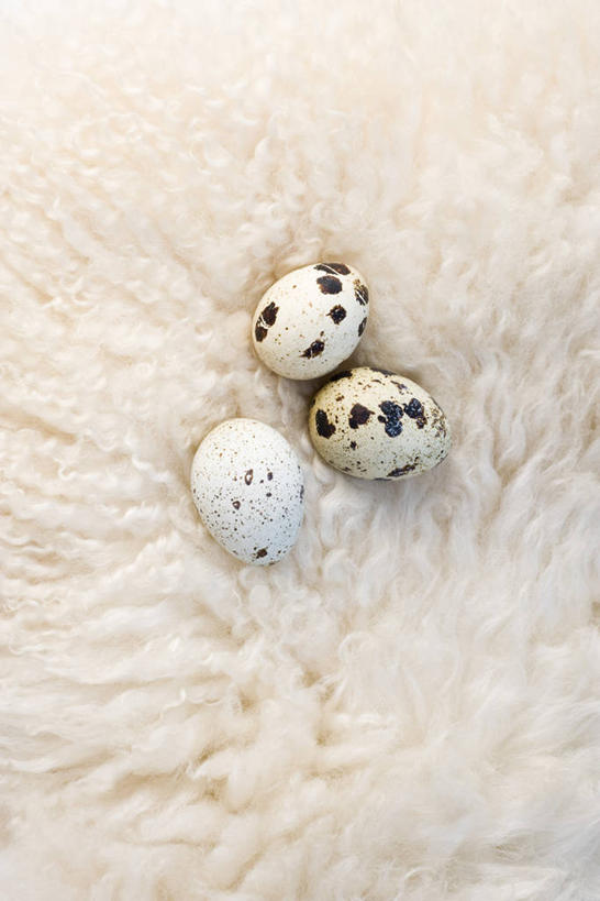无人,竖图,俯视,室内,特写,白天,阴影,反射,影子,蛋,鹌鹑蛋,三个,摄影,影棚,羊毛,卵,鹌鹑卵,鹑鸟蛋,彩图,高角度拍摄,影棚拍摄,拍摄