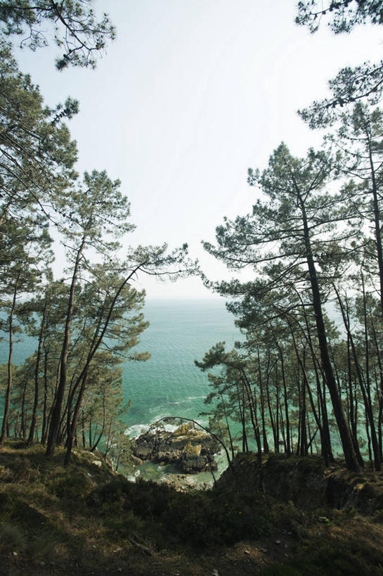 无人,竖图,室外,白天,正面,旅游,度假,海浪,海洋,美景,森林,沙滩,树林,植物,法国,欧洲,阴影,光线,沙子,影子,海岸,景观,浪花,沙地,娱乐,树,树木,蓝色,绿色,蓝天,天空,阳光,自然,海水,天,享受,休闲,景色,放松,生长,晴朗,成长,布列塔尼,自然风光,海景,万里无云,法兰西共和国,法兰西第五共和国,菲尼斯泰尔省,布列塔尼地区,非尼斯泰尔省,大海,风浪,海,海水的波动,海滩,近岸浪,涌浪,晴空,晴空万里,彩图