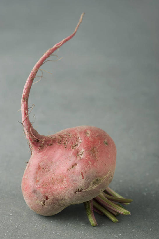 无人,竖图,俯视,室内,特写,白天,餐桌,桌子,蔬菜,阴影,新鲜,反射,影子,食品,甜菜,食物,一个,有机食品,绿色食品,单个,餐台,菾菜,红甜菜,彩图,高角度拍摄,红菾菜