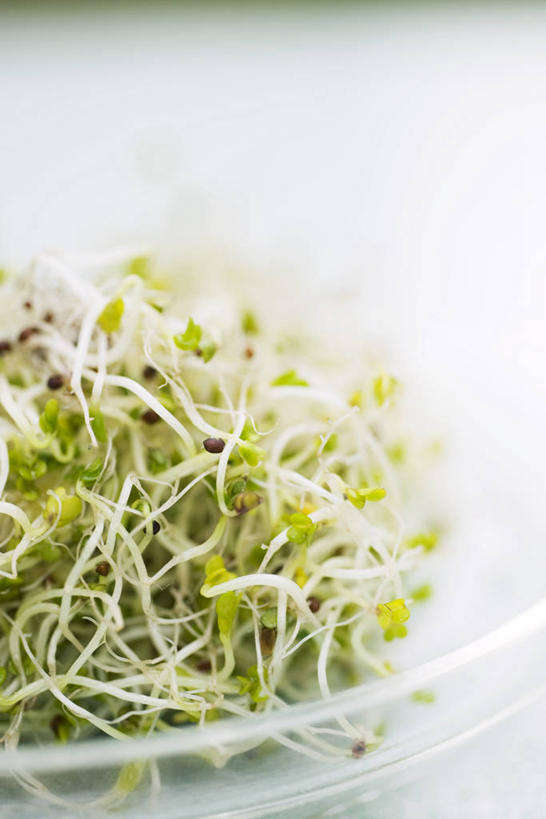 无人,竖图,俯视,室内,特写,白天,蔬菜,餐具,一堆,许多,阴影,堆积,朦胧,模糊,新鲜,反射,碟子,盘,影子,豆芽,食品,绿豆芽,食物,一个,盘子,碟,有机食品,绿色食品,单个,堆,豆芽菜,芽苗菜,彩图,高角度拍摄