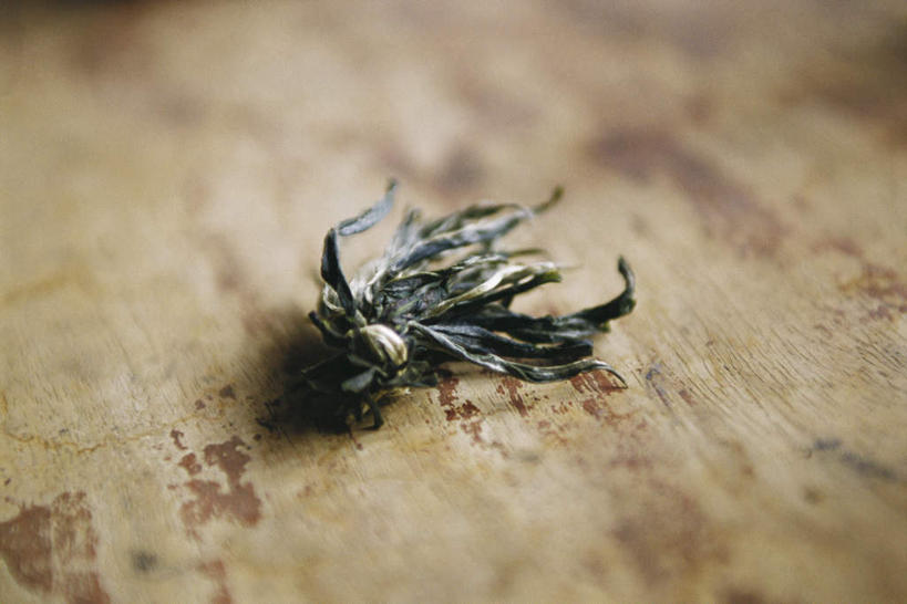 无人,横图,俯视,室内,特写,白天,餐桌,桌子,一堆,许多,堆叠,堆积,花纹,朦胧,模糊,茶道,茶叶,文化,餐台,堆,茶艺,环境,东亚文化,礼法,修行,彩图,高角度拍摄,茶文化