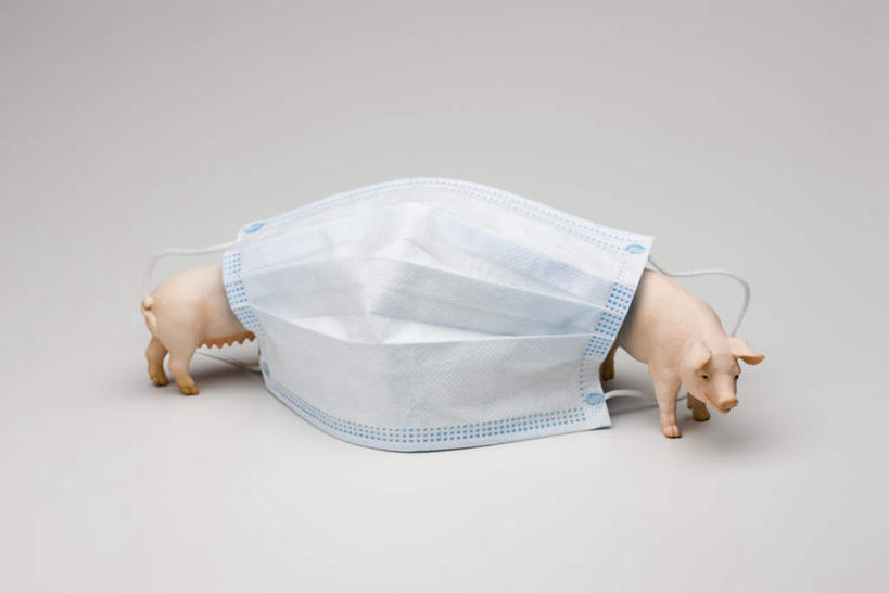 无人,横图,俯视,室内,白天,白色背景,微生物,玩具,分离,医学,玩偶,过滤,分开,小猪,两个,一个,口罩,隔断,生物,遮掩,摄影,影棚,单个,隔离,医疗,病毒,卫生,生物学,掩盖,遮挡,净化,间隔,预防,流感,遮盖,防尘,掩饰,断绝,隔开,屏蔽,屏绝,远离,中断,阻遏,阻隔,寄生,生命体,生物病毒,猪流感,彩图,高角度拍摄,影棚拍摄,拍摄