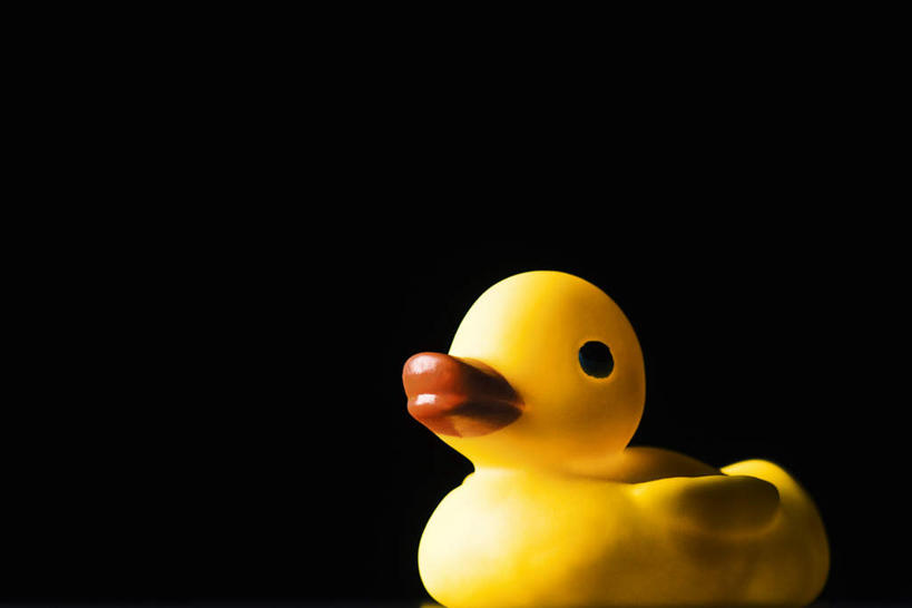 无人,横图,室内,特写,白天,正面,游戏,静物,玩具,阴影,黑色背景,光线,鸭子,影子,玩,娱乐,一个,黄色,休闲,橡胶,益智,摄影,影棚,单个,活动,发泄,消遣,智力,橡胶制品,宣泄,橡胶小鸭,橡皮小鸭,玩耍,嬉戏,彩图,影棚拍摄,拍摄