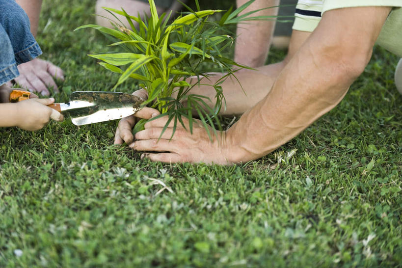 西方人,儿童,三个人,家庭,母亲,父亲,儿子,蹲,横图,俯视,室外,白天,纯洁,草地,草坪,植物,欧洲,欧洲人,修剪,服装,工具,剪刀,拿,拿着,休闲装,草,小孩,衣服,绿色,休闲,温暖,温馨,父子,母子,三口之家,一家人,休闲服,父爱,可爱,母爱,童年,童趣,服饰,和睦,童真,烂漫,无邪,天真,男孩,男人,男性,年轻男性,年轻女性,女人,女性,白种人,孩子,年轻人,蹲着,半身,彩图,高角度拍摄,融洽,男生