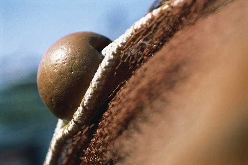 无人,横图,室外,特写,白天,正面,静物,阴影,朦胧,模糊,光线,影子,一个,阳光,浮标,渔网,单个,渔具,抓捕,捕捞,鱼网,拉网,捕捞工具,彩图