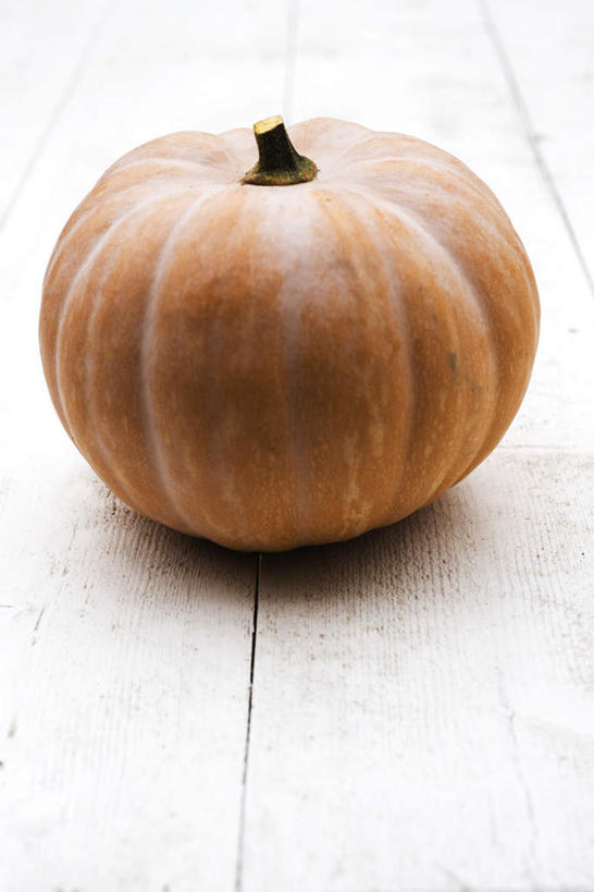 无人,竖图,俯视,室内,特写,白天,桌面,桌子,南瓜,静物,金瓜,番瓜,一个,红色,摄影,影棚,单个,麦瓜,倭瓜,彩图,高角度拍摄,影棚拍摄,拍摄