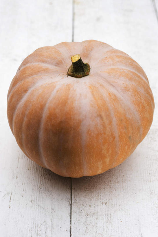 无人,竖图,俯视,室内,特写,白天,桌面,桌子,南瓜,静物,金瓜,番瓜,一个,红色,摄影,影棚,单个,麦瓜,倭瓜,彩图,高角度拍摄,影棚拍摄,拍摄