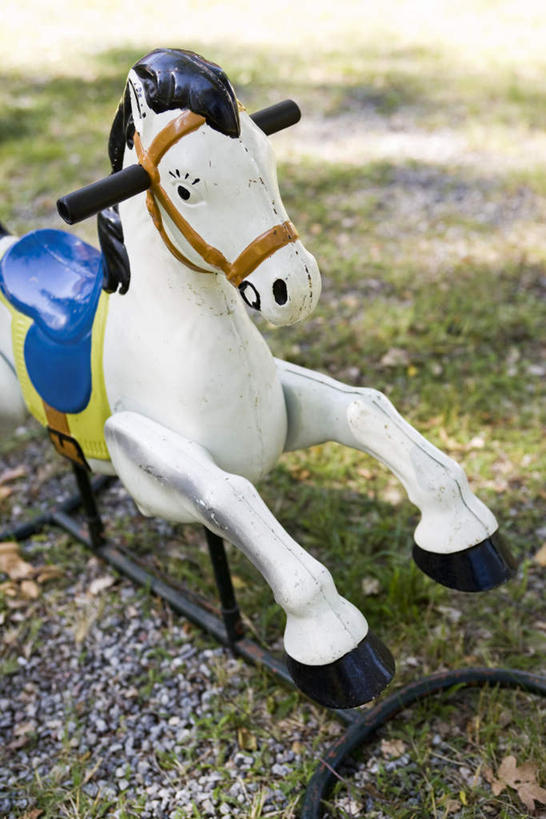 无人,竖图,室外,特写,白天,正面,游戏,快乐,草地,草坪,植物,游乐场,静物,玩具,阴影,光线,影子,玩,娱乐,草,一个,绿色,白色,阳光,休闲,单个,活动,发泄,消遣,智力,木马,宣泄,玩耍,嬉戏,彩图