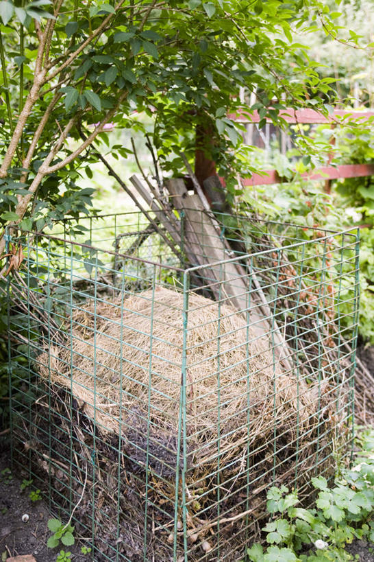 无人,菜园,栏杆,竖图,室外,白天,正面,农作物,草地,草坪,树林,田园,植物,暖棚,围栏,护栏,草,树,树木,绿色,自然,生长,成长,菜棚,田庄,彩图