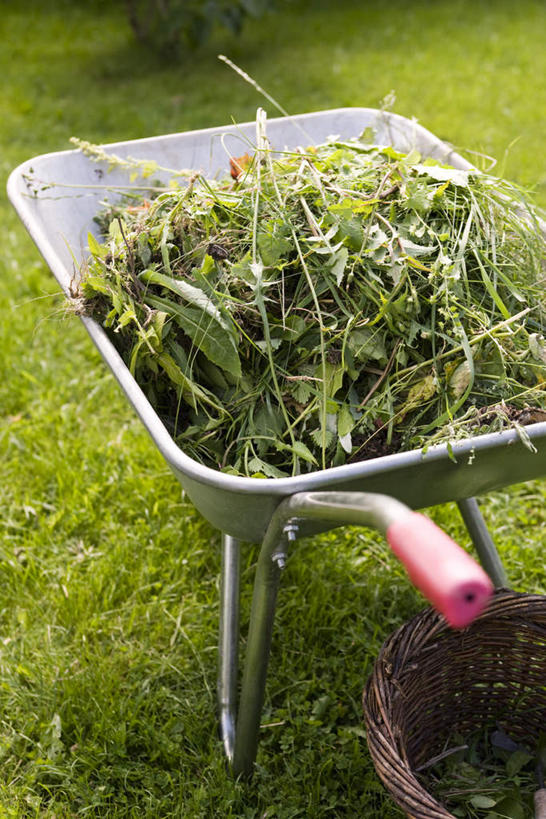 无人,竖图,俯视,室外,特写,白天,草地,草坪,植物,一堆,一辆,许多,停靠,修剪,堆叠,堆积,朦胧,模糊,园艺,车,草,绿色,把手,手推车,交通工具,独轮车,堆,载具,彩图,高角度拍摄