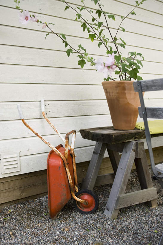 无人,竖图,室外,白天,正面,植物,静物,椅子,一辆,条纹,盆栽,木椅,墙,盆景,地面,墙壁,墙面,车,绿色,自然,手推车,交通工具,橙色,独轮车,生长,成长,载具,胡葵,戎葵,蜀葵,卫足葵,一丈红,彩图