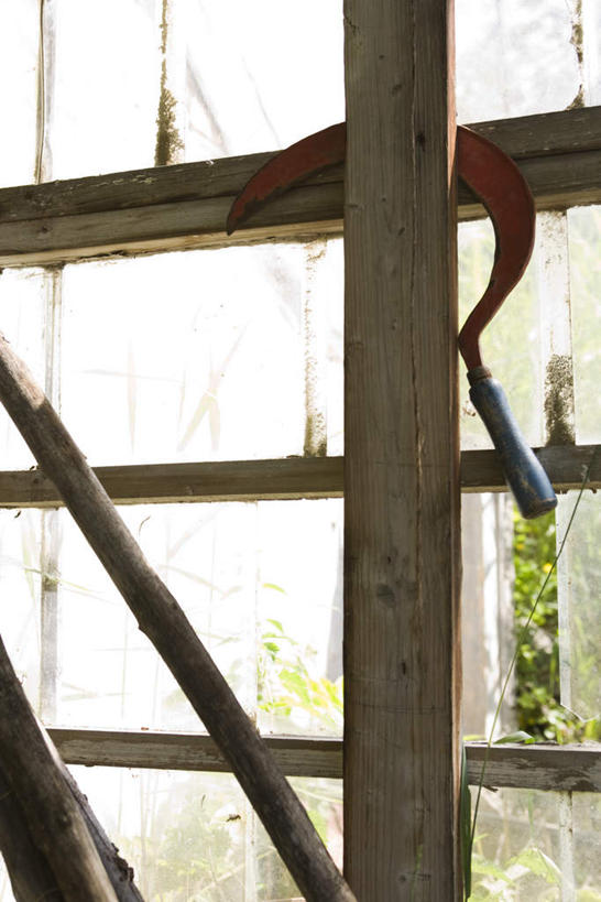 无人,竖图,室内,白天,正面,植物,窗户,阴影,光线,木制,工具,影子,墙,园艺,刀具,玻璃窗,墙壁,墙面,树,树木,绿色,阳光,自然,木制品,刀,生长,成长,园林,镰刀,彩图