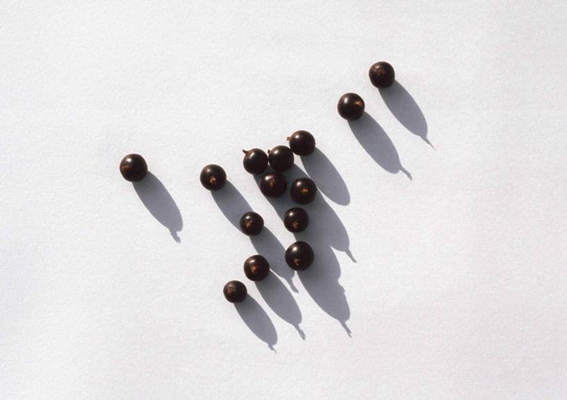 无人,横图,室内,特写,白天,白色背景,正面,餐桌,桌子,浆果,黑加仑,黑莓,静物,水果,许多,阴影,新鲜,反射,影子,生食,食品,果实,食物,黑色,摄影,有机食品,绿色食品,影棚,餐台,黑穗醋栗,黑豆果,黑醋栗,醋栗,彩图,影棚拍摄,拍摄