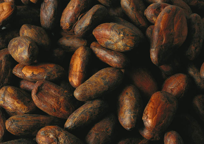 无人,横图,室内,特写,白天,正面,植物,豆,静物,豆类,豆子,食品,褐色,可可,食物,摄影,影棚,豆科,可可豆,彩图,影棚拍摄,拍摄