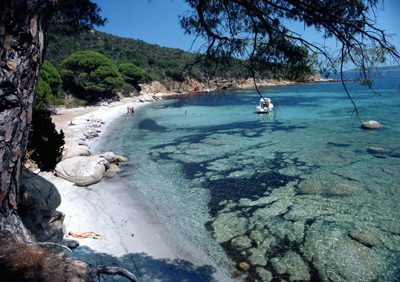 无人,横图,俯视,室外,白天,旅游,度假,海浪,海洋,美景,山,树林,植物,法国,欧洲,景观,浪花,山峰,山峦,娱乐,树,树木,绿色,自然,海水,享受,休闲,景色,放松,生长,成长,科西嘉岛,自然风光,海景,法兰西共和国,法兰西第五共和国,大海,风浪,海,海水的波动,近岸浪,涌浪,彩图,高角度拍摄