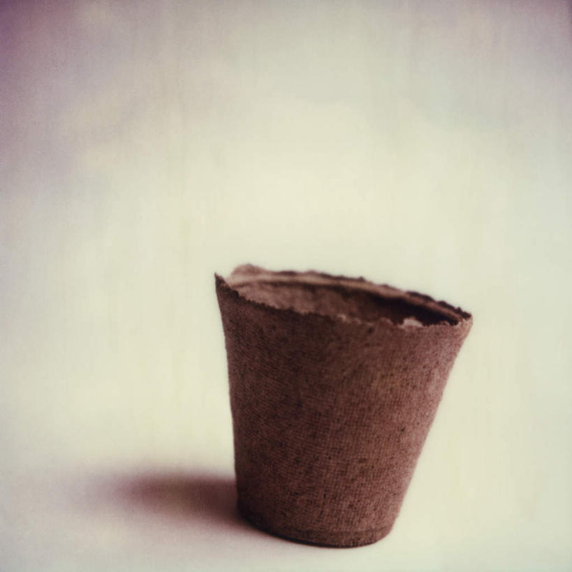 无人,方图,室内,特写,白天,白色背景,正面,静物,花盆,朦胧,模糊,盆栽,陶瓷,泥土,盆景,陶瓷制品,一个,摄影,影棚,单个,彩图,影棚拍摄,拍摄