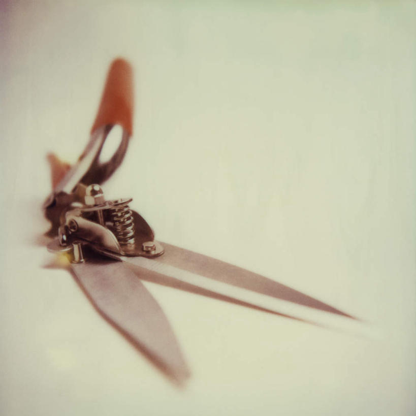 无人,方图,俯视,室内,特写,白天,白色背景,农业,静物,一把,朦胧,模糊,工具,摄影,影棚,农具,园艺剪,彩图,高角度拍摄,影棚拍摄,拍摄