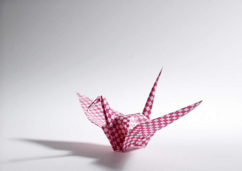 无人,横图,俯视,室内,特写,白天,白色背景,静物,阴影,艺术,反射,光线,网格,方格,格子,影子,折纸,手工艺品,千纸鹤,文化,一个,粉色,纸鹤,工艺品,摄影,影棚,单个,工艺折纸,彩图,高角度拍摄,影棚拍摄,拍摄