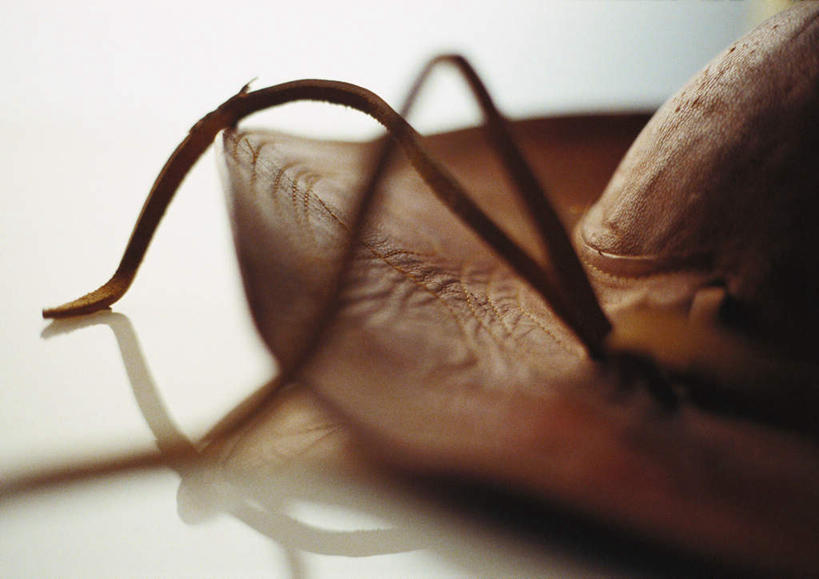 无人,横图,俯视,室内,特写,白天,白色背景,桌面,桌子,静物,帽子,阴影,朦胧,模糊,反射,丝带,影子,皮革,礼帽,摄影,影棚,一顶,彩图,高角度拍摄,影棚拍摄,拍摄