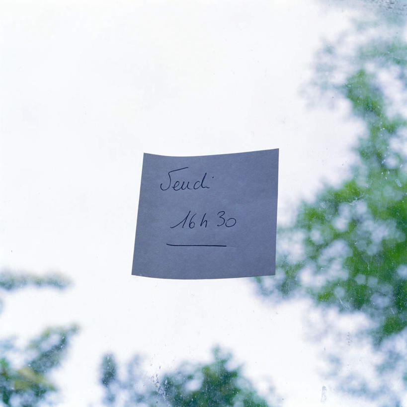 无人,方图,室外,特写,白天,仰视,植物,窗户,静物,英文,标志,文字,纸,字符,字母,便签,标识,玻璃窗,树,树木,蓝色,绿色,蓝天,天空,自然,天,生长,晴朗,成长,万里无云,晴空,晴空万里,彩图,低角度拍摄