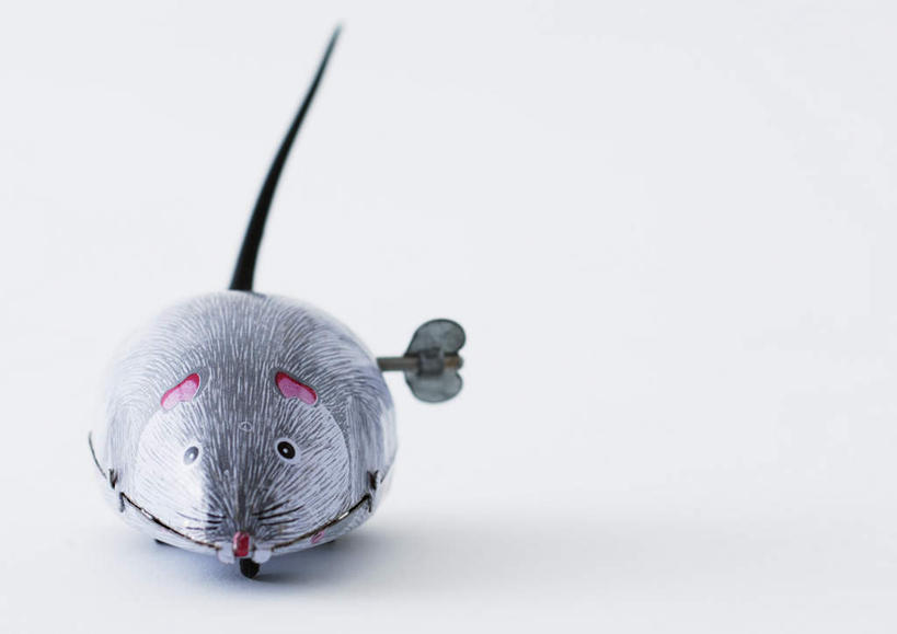 无人,横图,俯视,室内,特写,白天,白色背景,游戏,桌子,野生动物,老鼠,静物,玩具,细菌,办公桌,玩,娱乐,一个,动物,模型,休闲,益智,摄影,影棚,单个,活动,发泄,消遣,智力,病菌,宣泄,传染,四害,发条玩具,耗子,玩耍,嬉戏,彩图,高角度拍摄,影棚拍摄,拍摄