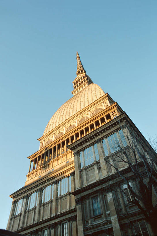 无人,竖图,室外,白天,仰视,旅游,度假,植物,标志建筑,地标,建筑,意大利,欧洲,阴影,光线,影子,娱乐,建设,树,树木,蓝色,绿色,蓝天,天空,阳光,自然,天,享受,休闲,旅游胜地,放松,生长,成长,南欧,意大利共和国,首府,皮埃蒙特大区,皮埃蒙特,都灵,彩图,低角度拍摄