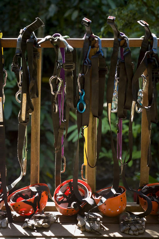 无人,竖图,室外,白天,正面,森林,树林,植物,帽子,一排,整齐,工具,器材,头盔,树,树木,排列,绿色,自然,安全帽,器械,生长,成长,拐杖,队列,登山杖,辅助设备,登山棍,登山,爬山,彩图