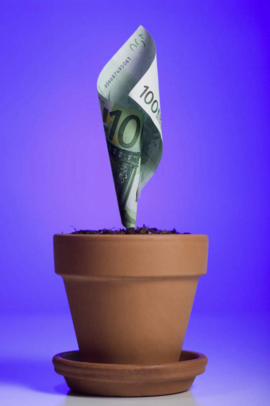 无人,竖图,室内,特写,白天,正面,钱,静物,蓝色背景,盆栽,钱币,欧元,钞票,金融,纸币,摄影,影棚,经济,流通,纸钞,贸易,货币,现金,彩图,影棚拍摄,拍摄