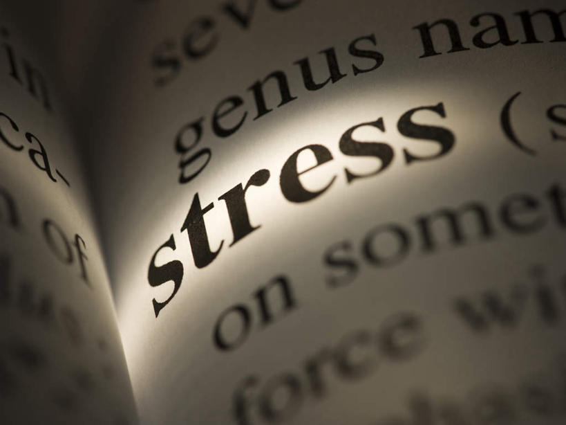 无人,方图,俯视,室内,特写,白天,静物,书籍,一本,一排,许多,阴影,朦胧,模糊,整齐,反射,英文,标志,工具,文字,影子,字符,字母,标识,排列,黑色,英文字母,队列,词典,辞典,工具书,书,图书,彩图,高角度拍摄