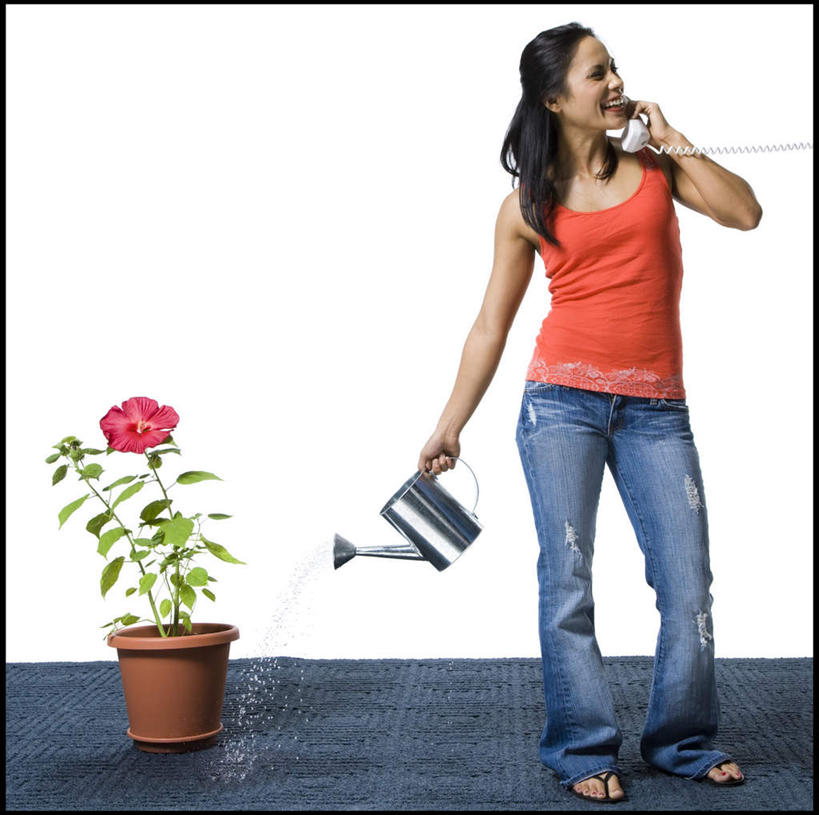 西方人,一个人,站,打电话,横图,室内,白天,白色背景,正面,幸福,水,月季花,电话,花盆,欧洲,欧洲人,仅一个年轻女性,仅一个女性,仅一个人,握,阴影,飞溅,服装,裤子,盛开,溅,反射,背心,壶,液体,影子,水滴,拿,听,花蕾,洒水壶,拿着,扭头,牛仔裤,通讯设备,水壶,水珠,花,花瓣,花朵,鲜花,衣服,话筒,花苞,花蕊,站着,转头,橙色,电话线,握着,摄影,服饰,影棚,希望,固定电话,衣着,穿着,喷洒,浇水壶,衣饰,美艳,光荣,交流,年轻女性,女人,女性,白种人,电话机,月月红,月季,长春花,沟通,通话,站立,彩图,全身,影棚拍摄,拍摄