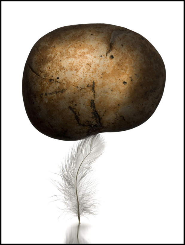 无人,竖图,室内,特写,白天,白色背景,正面,石头,桌面,桌子,羽毛,阴影,轻盈,柔软,反射,木制,石子,影子,一个,木制品,摄影,影棚,单个,怪异,奇怪,神奇,奇幻,奇特,轻柔,古怪,奇异,乖张,石块,岩石,彩图,影棚拍摄,拍摄