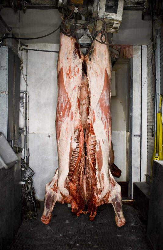 无人,竖图,室内,白天,正面,牛,一块,吊挂,悬挂,肉,挂,肉类,红色,动物,血液,家畜,牲畜,肉食,彩图