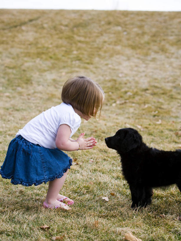 西方人,儿童,一个人,笑,微笑,竖图,俯视,室外,白天,裙子,纯洁,植物,宠物,狗,欧洲,欧洲人,仅一个女性,仅一个人,弯腰,服装,枯萎,枯草,注视,休闲装,草,一只,小孩,衣服,黄色,黑色,动物,观察,看,仅一个小孩,休闲,休闲服,可爱,童年,童趣,短裙,服饰,观看,半身裙,察看,关注,童真,烂漫,无邪,忠诚,弯身,葡萄牙水犬,天真,女孩,女人,女性,白种人,孩子,犬,彩图,高角度拍摄,全身,女生