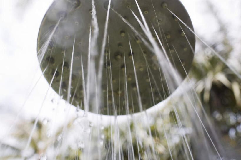 无人,横图,室外,特写,白天,仰视,水,植物,飞溅,朦胧,模糊,溅,液体,水滴,花洒,莲蓬头,水珠,树,树木,绿色,自然,生长,成长,喷洒,喷雾头,彩图,低角度拍摄