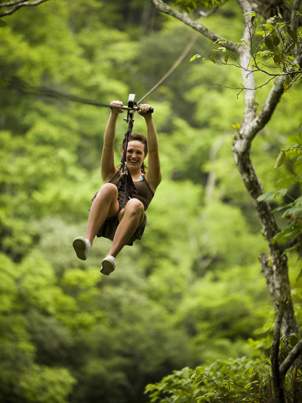 西方人,一个人,举,笑,微笑,露齿笑,竖图,室外,白天,仰视,锻炼,旅游,度假,探险,运动,美景,山,山脉,树林,植物,欧洲,欧洲人,仅一个年轻女性,仅一个女性,仅一个人,阴影,服装,朦胧,模糊,光线,影子,景观,山峰,枝条,速滑,山峦,注视,休闲装,娱乐,极限运动,树,树木,树枝,衣服,绿色,阳光,自然,群山,观察,看,托,享受,休闲,休闲服,景色,放松,服饰,生长,成长,观看,察看,关注,自然风光,室外运动,户外运动,速降,虬枝,枝杈,冒险,体育,年轻女性,女人,女性,白种人,举起,举手,举着,向上举,向上伸,向上托,彩图,低角度拍摄,全身,健身