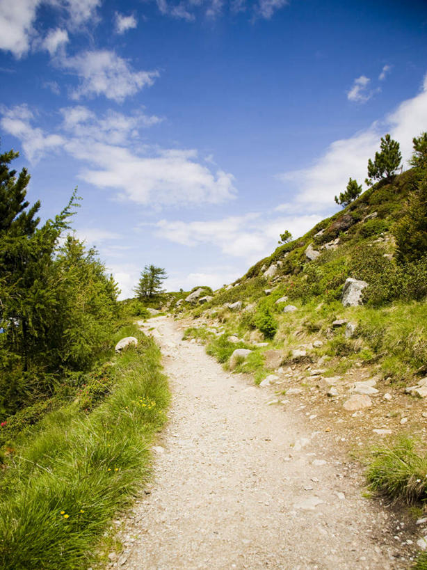 无人,竖图,室外,白天,仰视,旅游,度假,草地,草坪,美景,植物,道路,路,奥地利,欧洲,阴影,光线,影子,景观,云,云朵,小路,交通,云彩,娱乐,草,树,树木,蓝色,绿色,白云,蓝天,天空,阳光,自然,天,享受,休闲,景色,放松,生长,晴朗,成长,自然风光,中欧,首府,因斯布鲁克,奥地利共和国,蒂罗尔,蒂罗尔州,晴空,彩图,低角度拍摄
