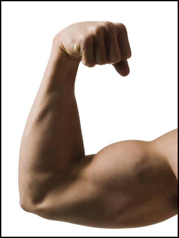 西方人,手,肌肉,健壮,一个人,竖图,室内,特写,白天,白色背景,正面,欧洲,欧洲人,仅一个男性,仅一个人,仅一个年轻男性,健康,手部,活力,力量,摄影,影棚,青春,单手,强壮,显现,展现,男人,男性,年轻男性,白种人,半身,彩图,影棚拍摄,拍摄