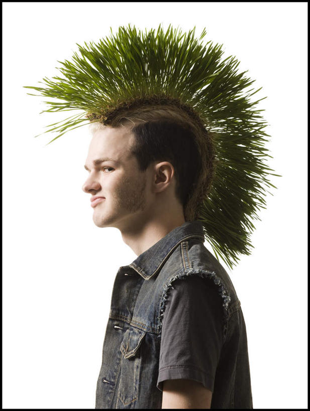 西方人,脸,头,脸颊,一个人,站,笑,微笑,竖图,室内,特写,白天,白色背景,侧面,草地,草坪,植物,欧洲,欧洲人,仅一个男性,仅一个人,服装,环保,注视,休闲装,肩膀,草,仅一个年轻男性,衣服,绿色,观察,看,站着,休闲,休闲服,摄影,服饰,影棚,能源,观看,回收,资源,察看,关注,利用,低碳,循环,莫西干头,莫西干发型,持续,莫西干头型,男人,男性,年轻男性,白种人,头部,脸部,脸蛋,面部,站立,半身,彩图,影棚拍摄,拍摄