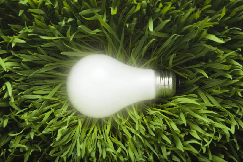 无人,横图,俯视,室外,特写,白天,草地,草坪,植物,照明,灯泡,光亮,灯,草,一个,绿色,灯具,白炽灯,单个,照亮,照明工具,白炽灯泡,光明,光洁,彩图,高角度拍摄