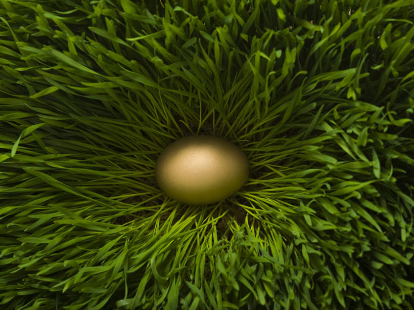 无人,横图,俯视,室外,特写,白天,草地,草坪,植物,蛋,鸡蛋,草,一个,绿色,金色,单个,草鸡蛋,卵,彩图,高角度拍摄