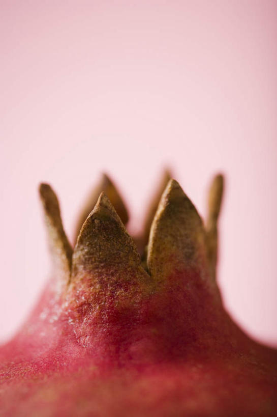 无人,竖图,室内,特写,白天,正面,石榴,水果,粉色背景,新鲜,生食,食品,果实,食物,摄影,有机食品,绿色食品,影棚,涂林,若榴,金罂,金庞,丹若,安石榴,彩图,影棚拍摄,拍摄