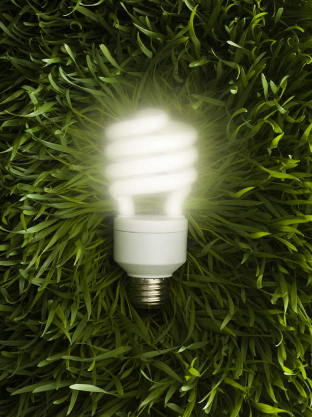 无人,竖图,俯视,室外,特写,白天,节能,草地,草坪,植物,静物,照明,阴影,环保,光线,灯泡,螺旋,影子,灯光,灯,节能灯,草,一个,绿色,灯具,能源,单个,照亮,低碳,照明工具,荧光灯,螺旋管节能灯,彩图,高角度拍摄,螺旋形