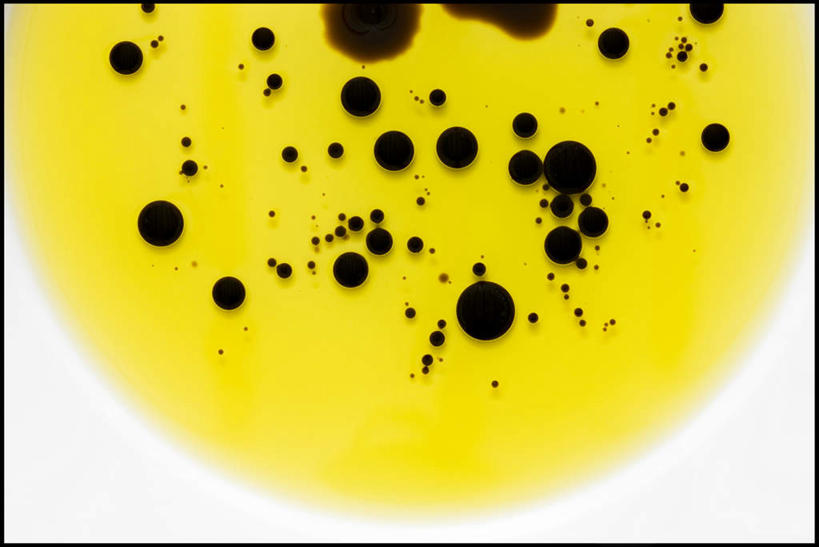 无人,横图,俯视,室内,特写,白天,白色背景,醋,调料,食用油,油,橄榄油,调味品,调味料,黄色,黑色,摄影,影棚,食醋,植物油,苦酒,醯,彩图,高角度拍摄,影棚拍摄,拍摄