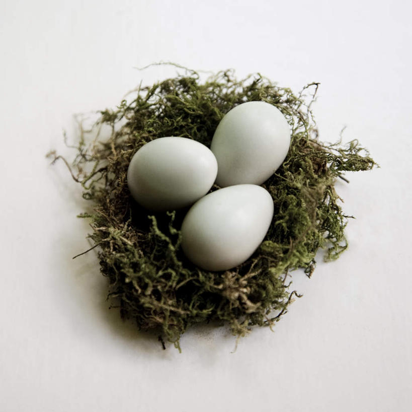 无人,横图,俯视,室内,特写,白天,白色背景,草地,植物,阴影,反射,鸟巢,鸟窝,影子,蛋,鸡蛋,草,三个,绿色,摄影,影棚,草鸡蛋,卵,彩图,高角度拍摄,影棚拍摄,拍摄