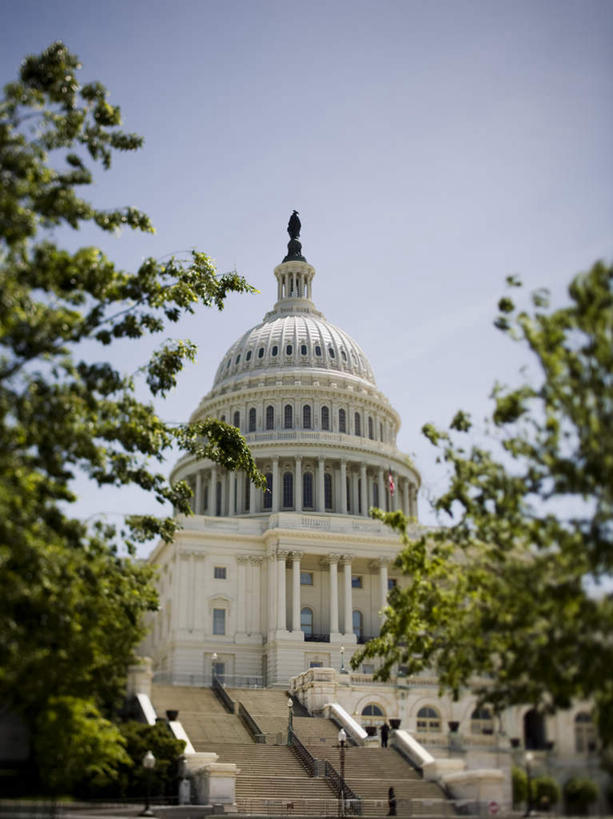 无人,宫殿,竖图,室外,白天,仰视,度假,美景,植物,楼梯,城市风光,标志建筑,城市,地标,建筑,美国,阶梯,景观,建筑群,首都,娱乐,建设,台阶,树,树木,蓝色,绿色,蓝天,天空,自然,天,享受,休闲,景色,放松,生长,晴朗,成长,北美,白宫,北美洲,美洲,华盛顿特区,万里无云,华盛顿哥伦比亚特区,华府,北亚美利加洲,亚美利加洲,晴空,晴空万里,彩图,低角度拍摄