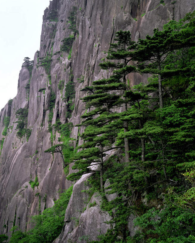 无人,竖图,室外,白天,仰视,旅游,度假,美景,山,山脉,植物,景观,山峰,悬崖,山峦,娱乐,树,树木,绿色,天空,自然,群山,天,享受,休闲,景色,放松,生长,成长,自然风光,绝壁,彩图,低角度拍摄