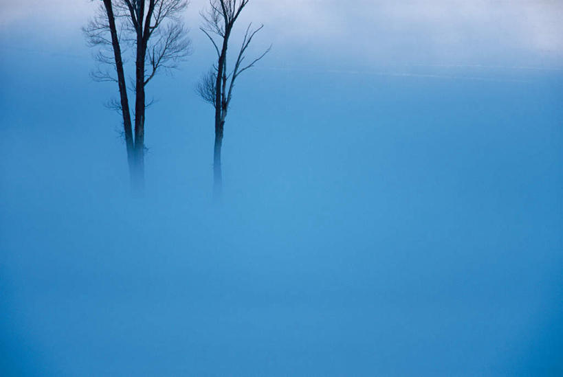 无人,横图,俯视,室外,白天,美景,雪,植物,大雪,两棵,朦胧,模糊,积雪,景观,雪景,冬季,冬天,树,树木,绿色,自然,景色,寒冷,生长,成长,自然风光,严寒,彩图,高角度拍摄